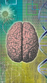 The brain that defied Alzheimer’s