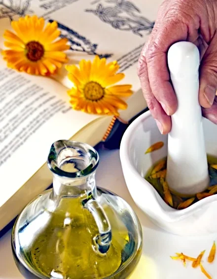 How to Make Calendula Oil – A Homemade Calendula Oil Recipe