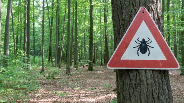 Seem like Lyme disease risk is getting worse? It is.