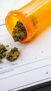 Medical marijuana may trigger substance abuse